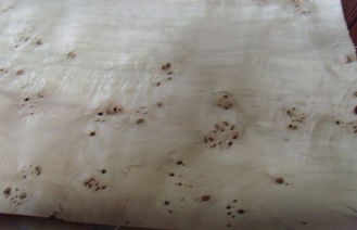 चिनार प्राकृतिक Burl कटा कट लकड़ी लिबास शीट्स, एल्म Burl लिबास