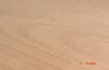 प्राकृतिक पीले Okoume रोटरी लिबास में लकड़ी काटने के लिए फर्नीचर की सतह