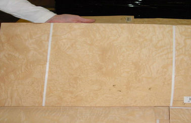 इंटीरियर परिष्करण के लिए 0.5 mm मोटाई सफेद प्राकृतिक राख की लकड़ी लिबास स्लाइस काट
