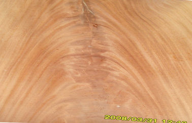 डार्ड रेड क्राउन कट विनेर मोहनगानी क्रॉच, प्राकृतिक लकड़ी लिबास