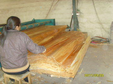 व्हाइट / ब्राउन बिर्च रोटरी कटौती लकड़ी लिबास, रजाई बना हुआ मेपल लिबास