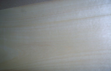 0.5 मिमी मोटाई से कटा हुआ कट सफेद सन्टी लकड़ी लिबास दृढ़