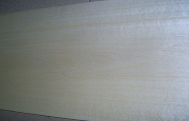 0.5 मिमी मोटाई से कटा हुआ कट सफेद सन्टी लकड़ी लिबास दृढ़