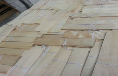 प्राकृतिक कटा हुआ कटौती फर्नीचर के लिए चीन मेपल लकड़ी के पोशिश