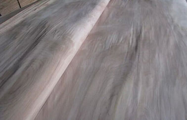 प्राकृतिक रोटरी कटौती बिर्च फर्नीचर के लिए लकड़ी लिबास एक ग्रेड काटने
