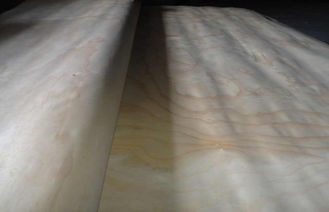 एएए ग्रेड के साथ पीला सफेद रोटरी कट पाइन दृढ़ लकड़ी लिबास शीट प्लाईवुड