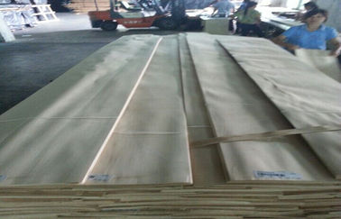 फर्नीचर प्राकृतिक कटा हुआ लिबास चादर मेपल की लकड़ी क्राउन कट chipboard