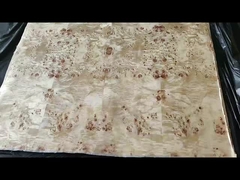 पपलर बार्ल फ़नीर ग्रेड ए