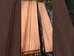 सैपेली क्राउन कट फ़नीर