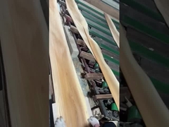 एल्म फ़नीर क्राउन कट