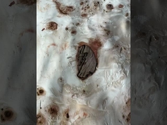 मैप्पा बर्ल फ़नीर