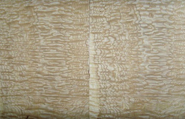 कटा हुआ प्राकृतिक बर्ल लकड़ी लिबास, सजावट के लिए ऐश लकड़ी लिबास