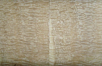 पीला ऐश Burl लकड़ी लिबास, 0.50 mm मोटाई प्राकृतिक लकड़ी लिबास