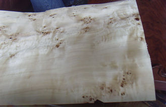 चिनार प्राकृतिक Burl कटा कट लकड़ी लिबास शीट्स, एल्म Burl लिबास