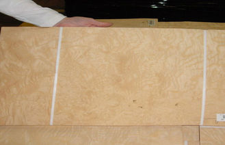 0.45mm मोटाई से कटा हुआ कट Burl इंजीनियर लकड़ी लिबास