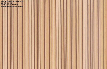 निर्माण इंजीनियर Zebrano लकड़ी लिबास दीवार पैनलों आर्टिफिशियल
