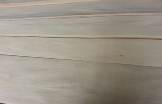 ए.ए. ग्रेड प्रक्षालित / सफेद सन्टी लकड़ी लिबास रोटरी कटौती निर्माण