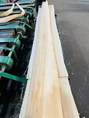 Modern Style Ash Veneer and Readily for Your Customer Requirements