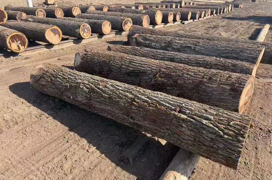 आभूषण और सजावट के लिए 0.2-0.6 मिमी मोटाई और 1220 मिमी तक की चौड़ाई में क्राउन ग्रेन पैटर्न के साथ ओक फनीर शीट